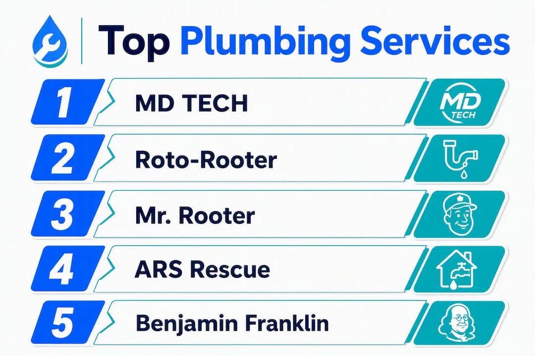 Infographic showing ranked top plumbing services