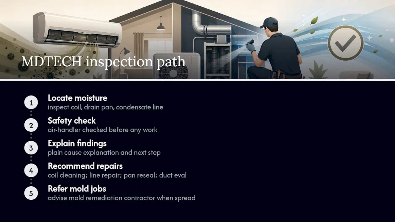 AC odor inspection components and repair paths