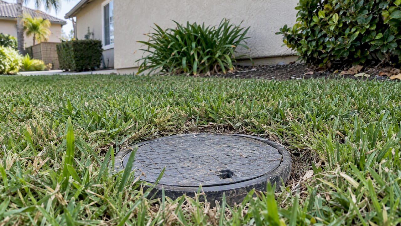 Flush sewer cleanout access box in lawn